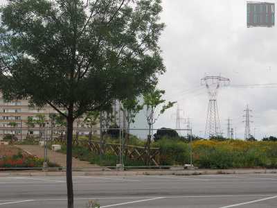 Tralicci che per i residenti rappresentano un vero e proprio �scandalo�, visto che comunque, a prescindere dal parco, passano da sempre sopra le case dei losetani